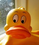 th_Rubber_duck.jpg