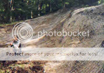  photo File0011316.jpg