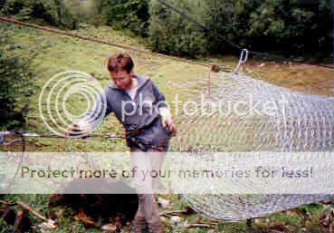  photo File0011317.jpg