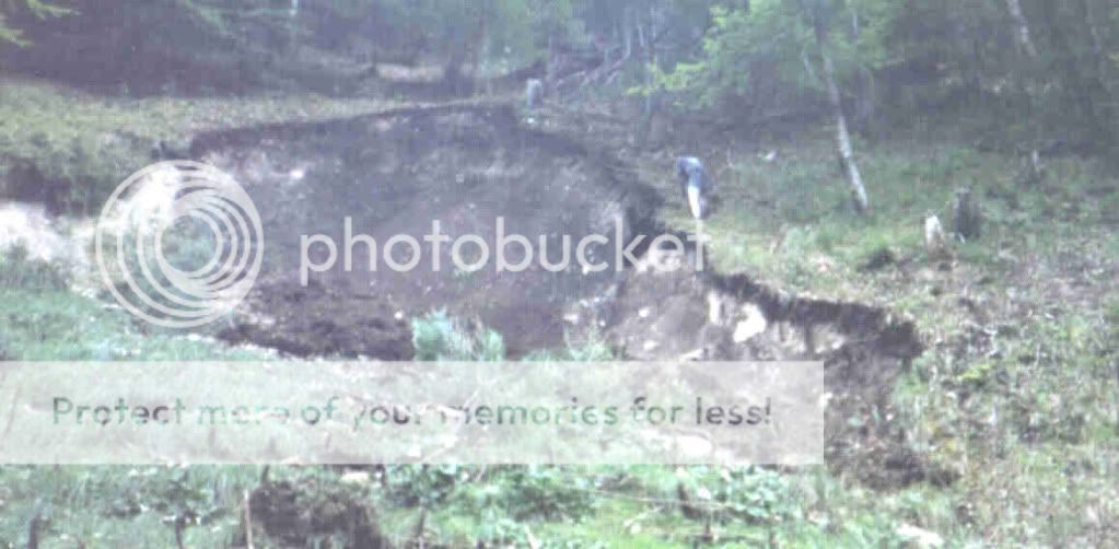  photo File0011321.jpg