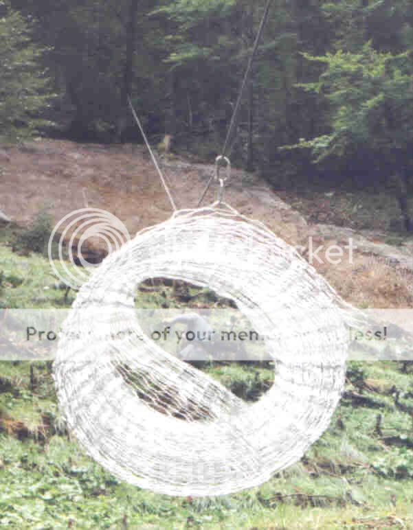  photo File0011323.jpg