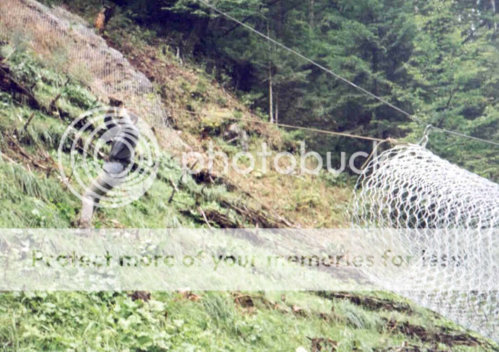  photo File0011324.jpg