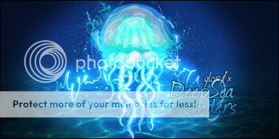 JellyfishTag.png
