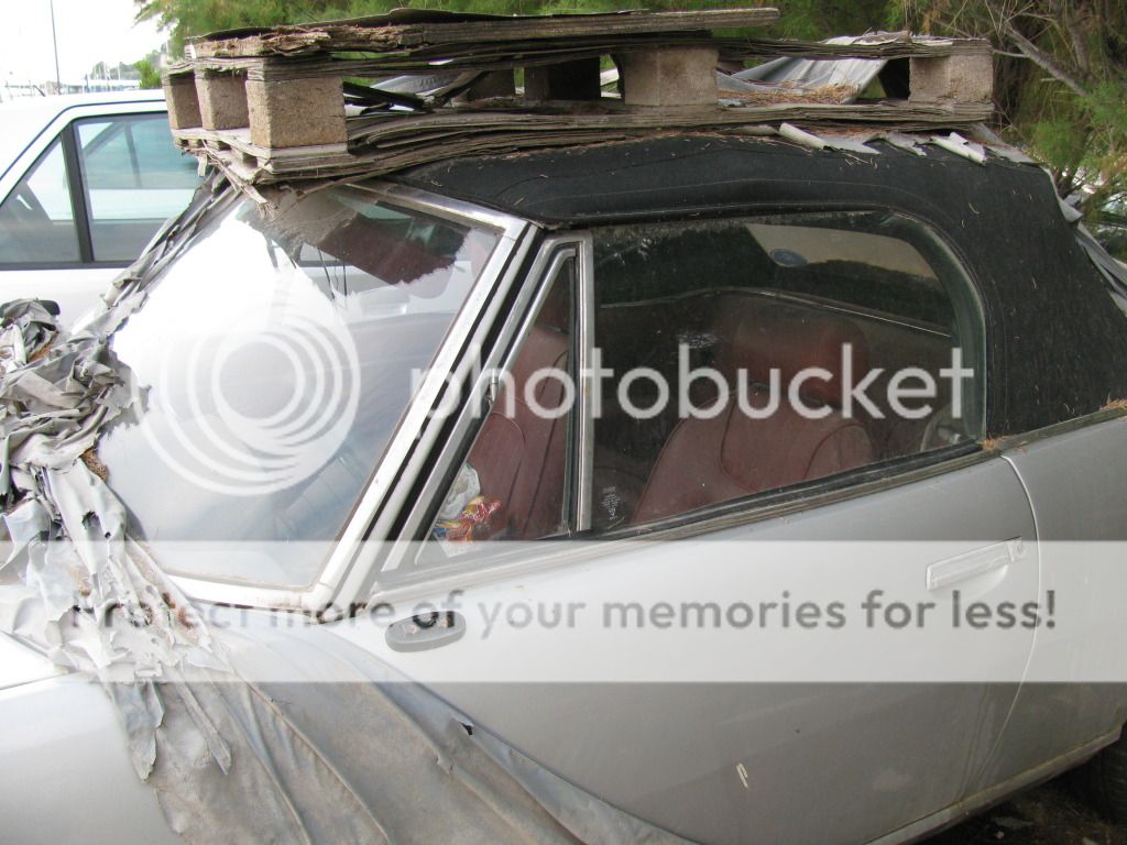 Peugeot 504 cabriolet facelift (1)