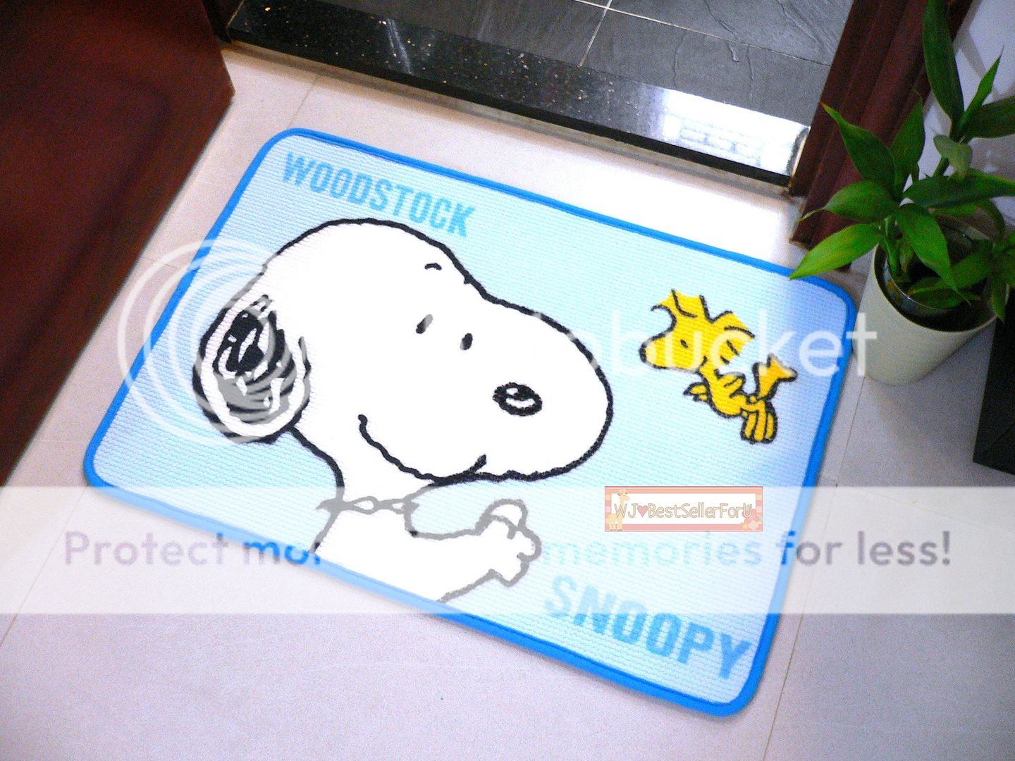 Snoopy Outdoor Home Floor Mat Kitchen Bathroom Restroom Rug Carpet