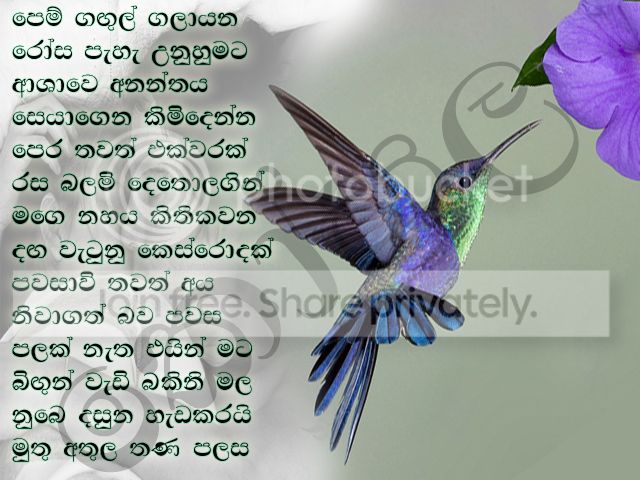 Untitled-4copy_zps2396bbc1.jpg